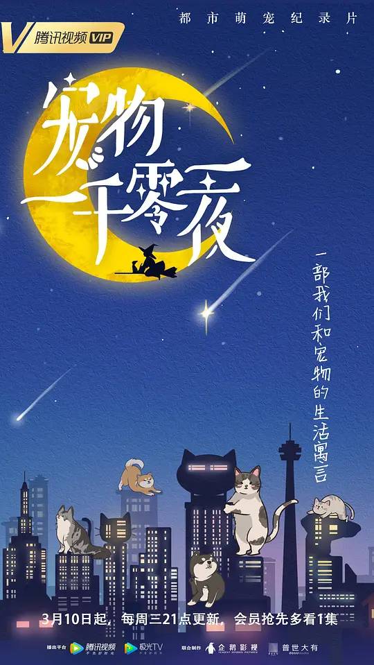 宠物一千零一夜